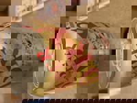 バレンシアのリピーター様