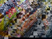  かおるこ(kaoruko)