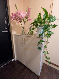 おはようございます…