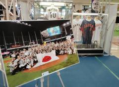 ⚾️ボールパーク💖