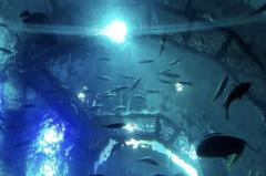 こんばんは〜🌃