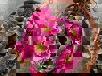 大人の遊園痴「スピーディー」 宮崎市デリヘル りつ（敏感で癒し系） 写メ日記「ありがとうございました」