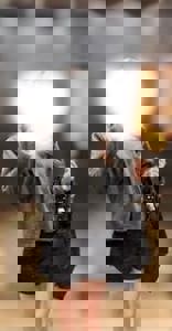 沖縄本舗(那覇市) はな