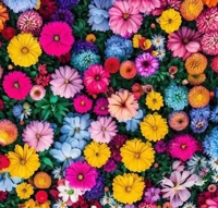 ご予約ありがとうございます