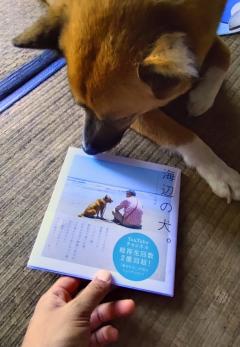 ララ子＆トシ🥰ご予約ありがとう