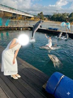 最近のあれこれ