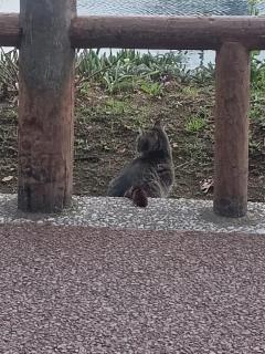 最近思うこと( ? ?? ) ?