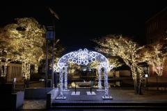 こんばんは〜🌌