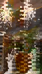 チャオのお兄さん？