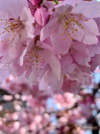 3月直近の予定です