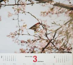 3月スタート🎵