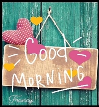 あいにくの雨ですが