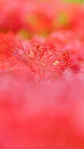 今週の出勤予定