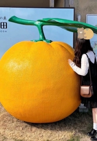 完売ありがとう