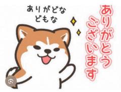 ?くまもとくん?