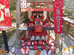 雨☂️雨ですね💦