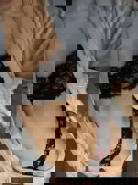 今週の出勤予定