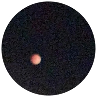 TheGrandPhoenix　ききょう※エロ美魔女