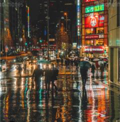 おはようございます♡