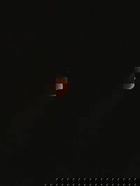 出勤しました♪