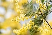 ありがとうございます