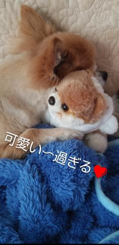 リサ〜と一緒🩷⤴️