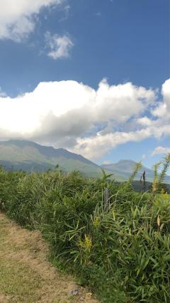 月花美人　さやか◆新人！