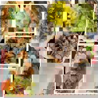 ありがとうございました。