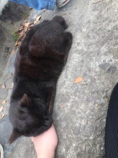 おはようございます(　-`ω-)b