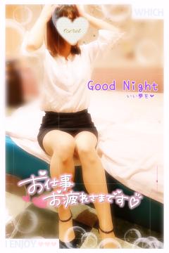 明るいニュース…🥺🥺🕊‎