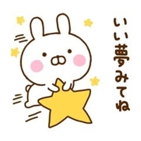 おやすみなさい(u_u)