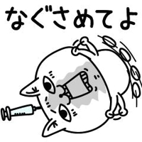 キャンセルが出た為ご予約空きました