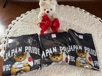 マドンナSANSAIN 宮崎市デリヘル しょう 写メ日記「届きました」