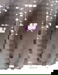 harmonyハーモニー　もも(momo)