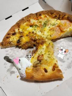 久しぶりのピザ???