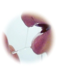 TheGrandPhoenix(大分市) ありさ※可愛い清楚奥様