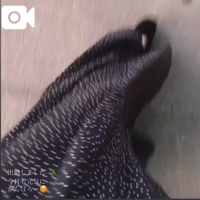 マドンナSANSAIN　天音