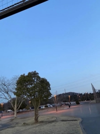 (*´∇｀*)ｵﾂｶﾚｻﾏﾃﾞｽ