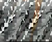 まってるよー！