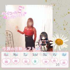 来週のスケジュール🌼*･