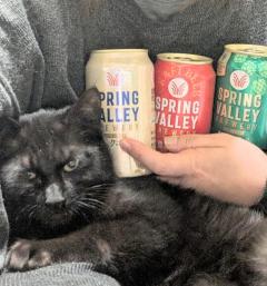 JaPON　新人！美鈴ﾐｽｽﾞ