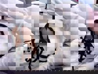 あきましたー！