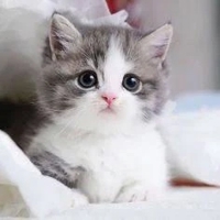 今日の御案内状況