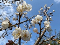 おはようございます