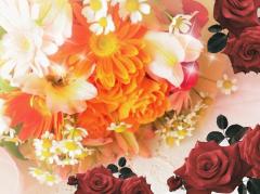 今夜もヨロシク