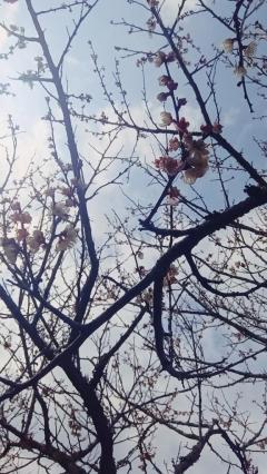 [お題]from:既に疲れている未来人さん