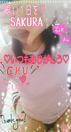 MICHELIN ミシュラン　サクラSakura