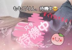 鹿児島ちゃんこ薩摩川内店　ももこ