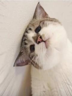 レミオロメン??