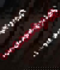 2ing 304のお兄さん